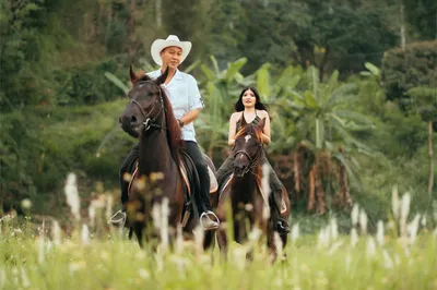 Horse Riding in Phuket