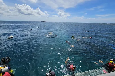 Great Adventures Reef Pontoon