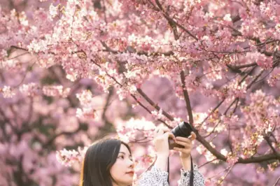 春暖花开，3月再次重游武汉这座“英雄城市”