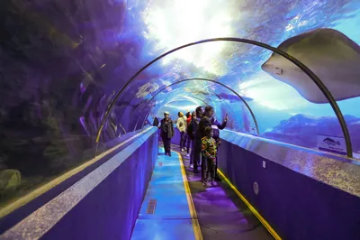 海底隧道