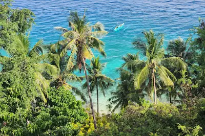 Oslob Macaque Sanctuary