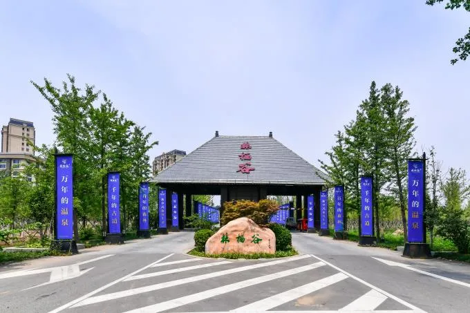打卡藏于万亩密林中廊坊林栖谷丁香小舍民宿，体验在树上居住生活