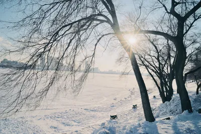Seizing the Tail of 2020, Ending with the Pure White of Harbin