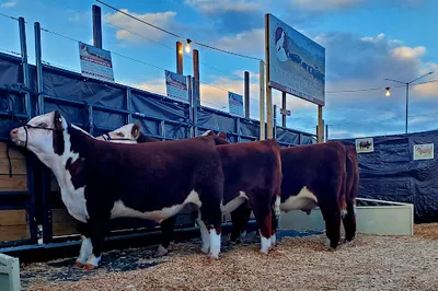Stockyards Event Center