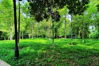 K9 Ho Chi Minh Memorial House
