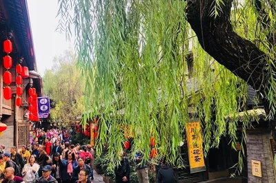 Don't Go to Sichuan When Young: Chengdu – A City You'll Never Want to Leave
