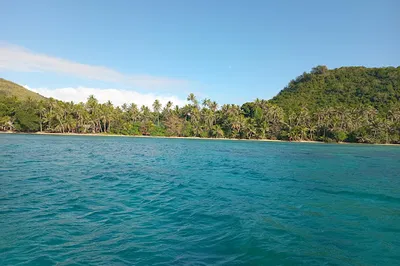 Naigani
