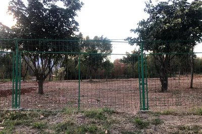 洱海玉白菜溼地公園