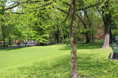Bednarski Park