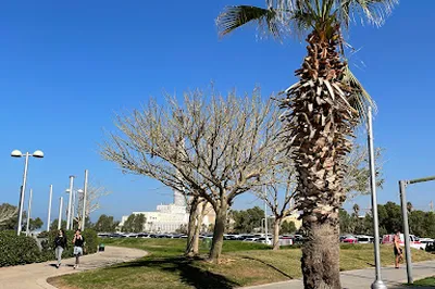 Tel Aviv Port Park