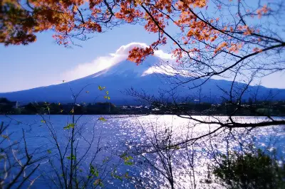 翩翩紅葉狩——2015年11月9天8晚日本大阪京都東京自由行