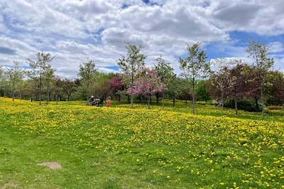 Arboretum of Domaine Maizerets
