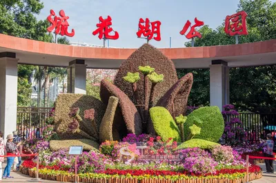 Liuhua Lake: Early Summer Bliss, a Quintessential Lingnan Urban Garden – Indulge in a Moment of Lazy Leisure