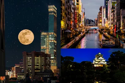 Stunning Osaka Scenic Spots Accessible by Osaka Metro ~Night View Edition~