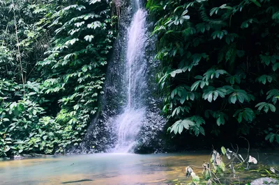 Bali | Mountain Hot Spring by Air Panas Angseri Waterfall