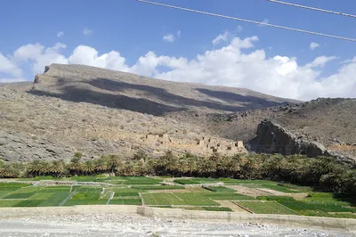 Al Bustan Viewpoint