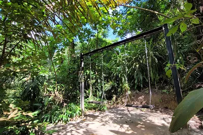 Taman Tugu Hike Trails