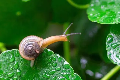 Green Vision Culture & Tourism: From Travel to Life, Rural Sojourning Becomes a New Trend