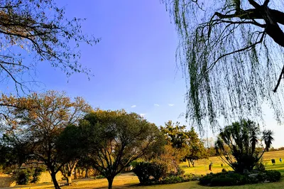 Lone Hill Nature Reserve