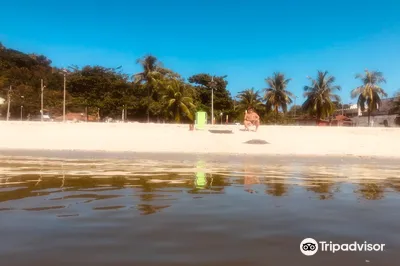 Governador Island