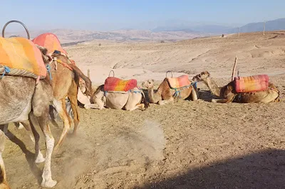 AGAFAY DESERT: Dinner ,Camel Ride ,BERBER CAMP, QUAD