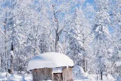 Harbin Travel Guide: Chase a Romantic Snowscape ❄️ Harbin-Yabuli-Snow Town, 5 Days 4 Nights