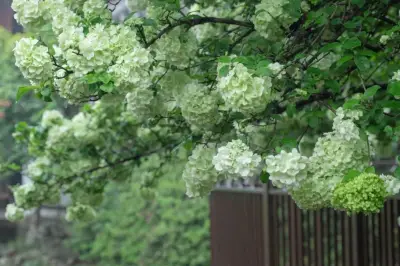 吐血整理这个季节常熟虞山文化旅游度假区最美赏花攻略，五一不愁没地儿打卡啦！