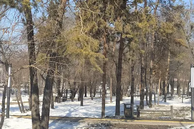 Park Dorozhnik