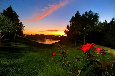 Rick Rice Park
