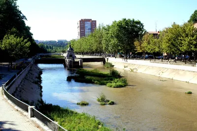 國王橋