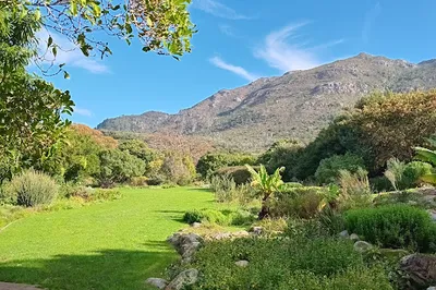 Kirstenbosch Gardens Concert Stage