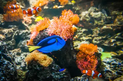 Sea Life Munich