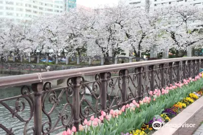 Tenjin Central Park