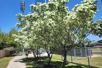 Sylvester Turner Park