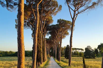 Parco del Mensola