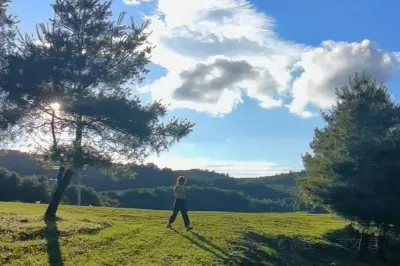 Dàshào Forest