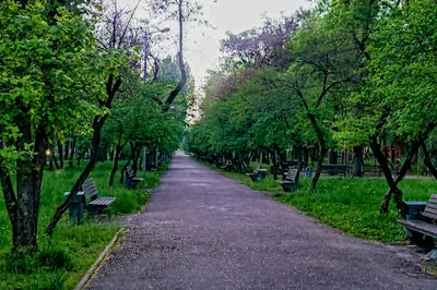 Gagarin Street Park