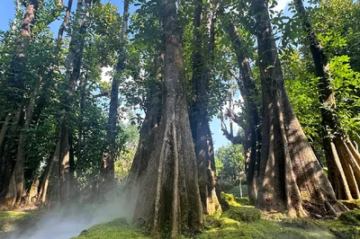Changthong Heritage Park