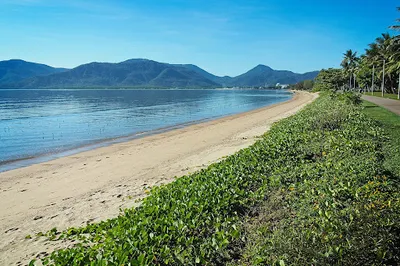 Cairns Esplanade McKenzie Street Parkland