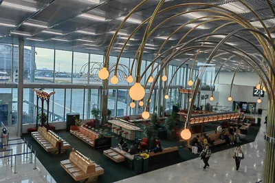 一場跨越國界的夢幻之旅
