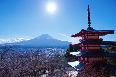 第十三次日本自由行，去富士山騎行吧！+深度探索東京祕境
