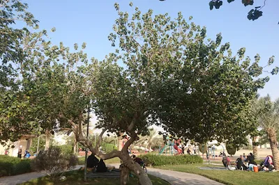 Ibrahim Bin Saidan Park
