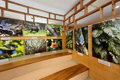 Gallirallus Okinawae Learning Center