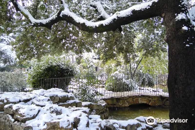 Parco Nemorense o Virlgiliano