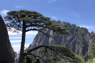 2021 Huangshan Trip