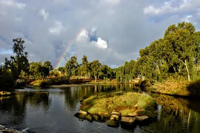 Park Lake