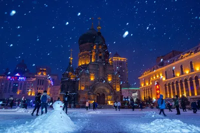 2020 Harbin's Most Worth Visiting Health and Eco-Friendly Theme Hotel, a Hotel Worth Staying at During the Pandemic