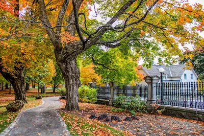 Rideau Hall Grounds