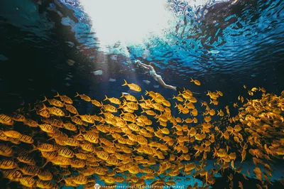 来一次小众海南游，轻松GET自由潜+水下摄影🧜‍♀️