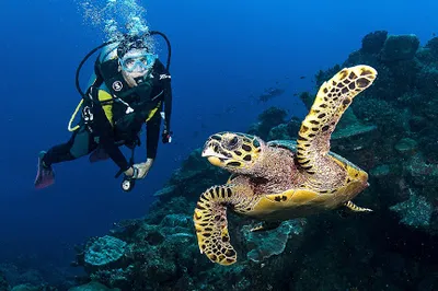 Aura Divers - Scuba Diving Courses Center in Muscat Oman